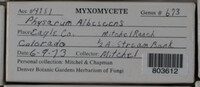 Image Associated With the Occurence